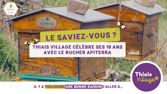 Les Ruches de Thiais Village