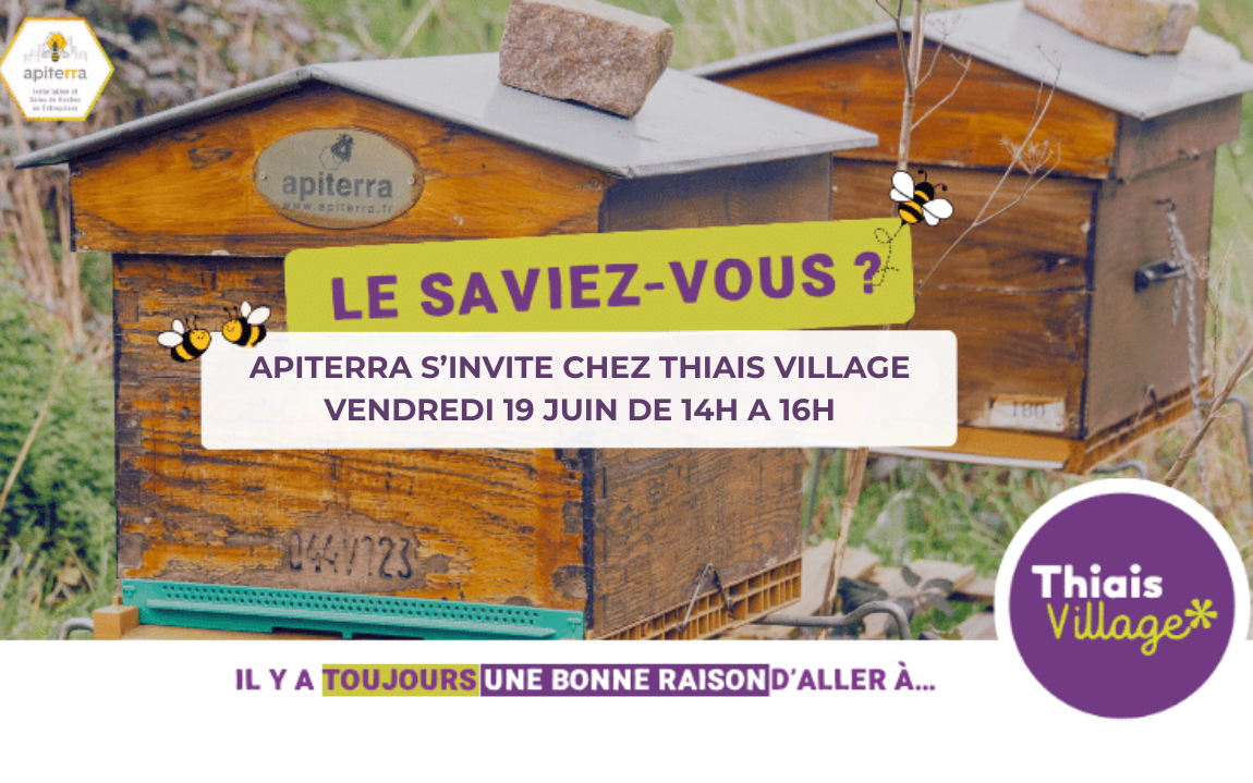 Image banner 2
