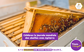 Le saviez vous ? le 20 mai, c'est c'est la journée mondiale des abeilles